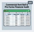 Commercial Rent Roll & Pro Forma Financial Audit